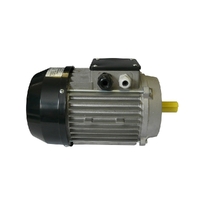 Imer Mix 120 Plus Motor Assy